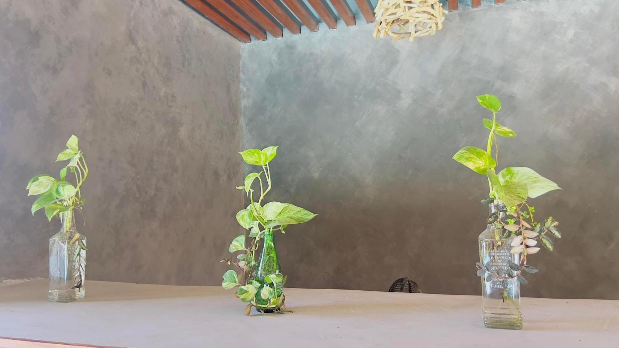 Seasta Beach Resort Baler Ngoại thất bức ảnh